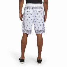 画像3: Dogg Supply by Snoop Dogg   Paisley Print Mesh Basketball Shorts (3)