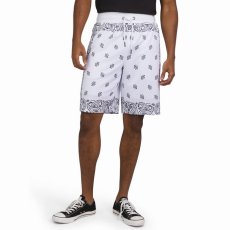 画像1: Dogg Supply by Snoop Dogg   Paisley Print Mesh Basketball Shorts (1)