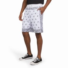 画像2: Dogg Supply by Snoop Dogg   Paisley Print Mesh Basketball Shorts (2)