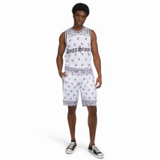 画像4: Dogg Supply by Snoop Dogg   Paisley Print Mesh Basketball Shorts (4)