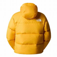 画像5: 予約商品 THE NORTH FACE   Remastered Nuptse Jacket (5)