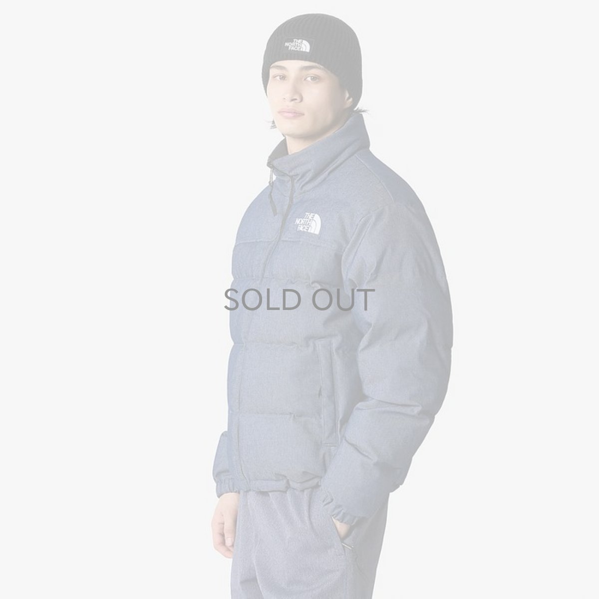 画像1: 予約商品 THE NORTH FACE   1992 Reversible Nuptse Jacket (1)