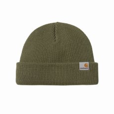 画像1: 予約商品 Carhartt WIP   Daxton Beanie (1)