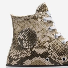 画像8: 予約商品 Converse × Stussy    Chuck Taylor All Star '70 High-Top Snakeskin (8)