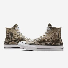 画像4: 予約商品 Converse × Stussy    Chuck Taylor All Star '70 High-Top Snakeskin (4)